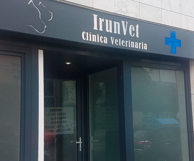 Nueva clínica IrunVet