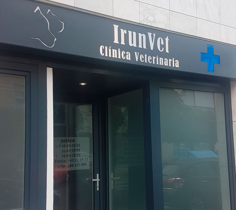 clínica IrunVet